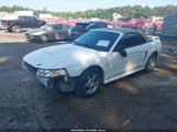 Ford Mustang 1FAFP44423F411336 снимка