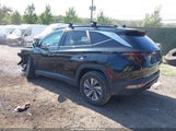 Hyundai Tucson Hybrid Blue KM8JBCA13NU037949 fotografie