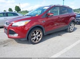 Ford Escape Titanium 1FMCU9J95EUA45207 снимка