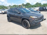 Jeep Cherokee Trailhawk 1C4PJMBS6HW561281 снимка