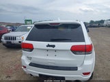 JEEP GRAND CHEROKEE ALTITUDE 1C4RJFAG9FC675565 photo