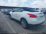 Nissan Murano Crosscabriolet JN8AZ1FY8EW300911 photo