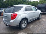 Chevrolet Equinox 1Lt 2GNALDEK8C1259946 снимка