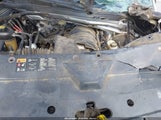 Chevrolet Silverado  1Lt 1GCRCREH9EZ384929 снимка