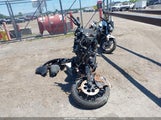 Miniaturka zdjęcia 5