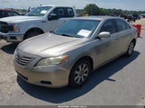 Toyota Camry Xle V6 JTNBK46K973014826 fotografie