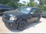 Ford Escape Xlt 1FMCU0DG1AKD44298 снимка
