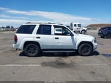 Chevrolet Trailblazer Ls 1GNDT13S532229303 снимка