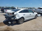 Hyundai Sonata Sport 5NPE34AF2GH397876 снимка