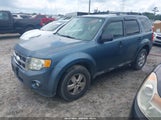 Ford Escape Xlt 1FMCU0DG0BKB64795 снимка