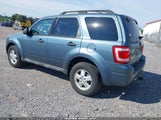 FORD ESCAPE XLT 1FMCU0D78AKB78619 fotografie
