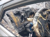 Hyundai Sonata Gls 5NPEB4AC7BH285639 снимка