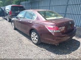 HONDA ACCORD 3.5 EX-L 5KBCP3F81AB013271 снимка