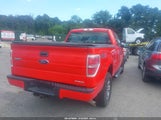 Ford F-150 Stx 1FTEX1EM2EFB48870 снимка