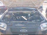 Ford Escape Xlt 1FMYU93165KD64205 снимка