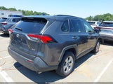 Toyota Rav4 Xle JTMW1RFV7KD019686 снимка
