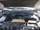 Ford F-150 Xlt 1FTFX1EFXGFD60828 снимка