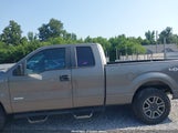 FORD F-150 XL 1FTFX1ET9DKF98338 снимка