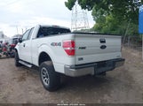 Ford F-150 Xlt 1FTEX1EM3DFD74091 снимка