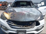 Hyundai Santa Fe Sport 2.4L 5XYZUDLB3JG543287 fotografie