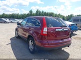 Honda Cr-V Ex-L 5J6RE4H72BL056454 снимка