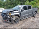 Chevrolet Silverado  4Wd Short Bed Custom Trail Boss 1GCPYCEF0MZ286438 снимка