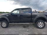 FORD F-150 FX4/LARIAT/XLT 1FTPW14V37FA12420 снимка