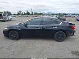 Nissan Altima 2.5/2.5 S/2.5 Sl/2.5 Sr/2.5 Sv 1N4AL3AP7GN350169 снимка