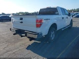 Ford F-150 Xlt 1FTFW1ET3DKD49746 снимка
