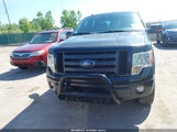 Ford F-150 Fx4/Harley-Davidson/King Ranch/Lariat/Platinum/Xl/Xlt 1FTFW1EV7AFB02526 снимка