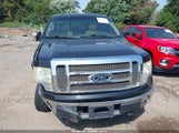 Ford F-150 Fx4/Harley-Davidson/King Ranch/Lariat/Platinum/Xl/Xlt 1FTFW1EV7AFD22099 снимка