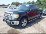Ford F-150 Fx4/Harley-Davidson/King Ranch/Lariat/Platinum/Xl/Xlt 1FTFW1EV7AFD22099 снимка