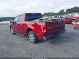 Ford F-150 Xlt 1FTEW1CP6HFA80769 снимка