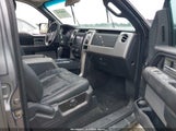 Ford F-150 Fx2 Sport/Harley-Davidson/King Ranch/Lariat/Platinum/Xl/Xlt 1FTFW1CVXAKE04404 fotografie