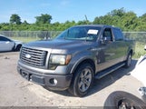 Ford F-150 Fx2 Sport/Harley-Davidson/King Ranch/Lariat/Platinum/Xl/Xlt 1FTFW1CVXAKE04404 fotografie