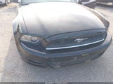 Ford Mustang V6 1ZVBP8AM8E5274090 снимка
