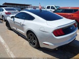 Ford Mustang Ecoboost Fastback 1FA6P8TH3L5159825 снимка