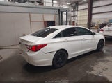Hyundai Sonata Gls 5NPEB4ACXBH185759 снимка
