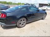 FORD MUSTANG V6/V6 PREMIUM 1ZVBP8ANXA5175922 photo