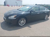 Nissan Maxima 3.5 Sv 1N4AA51E49C806207 снимка