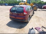 Honda Cr-V Lx 5J6RM4H37DL053147 снимка