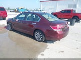 Honda Accord 3.5 Ex-L 1HGCP3F8XBA025753 photo