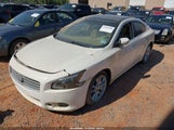 Nissan Maxima 3.5 Sv 1N4AA51E59C826823 снимка