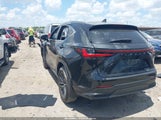 Lexus Nx 350 Luxury JTJHGCEZ8R2011902 fotografie