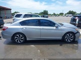 Honda Accord Ex-L V-6 1HGCR3F81GA028431 photo