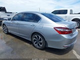 Honda Accord Ex-L V-6 1HGCR3F81GA028431 photo