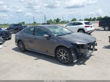Toyota Camry Xle 4T1F11AK9PU816510 photo