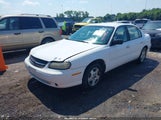 Chevrolet Malibu 1G1ND52J02M518207 снимка
