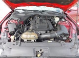 Ford Mustang Ecoboost 1FA6P8TH5H5328850 снимка