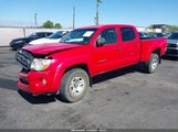 Toyota Tacoma Base V6 3TMMU52N16M003409 photo
